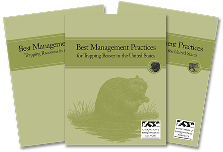 cover of Best Management Practices for Trapping