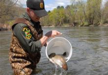 warden stocking fish