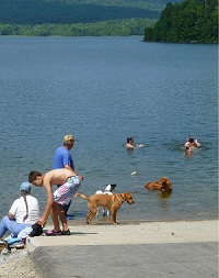 No Swimming in Fishing Access Areas
