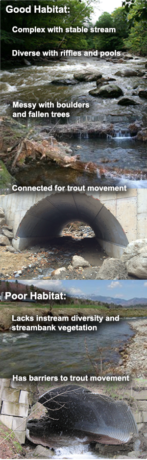 example of good and bad habitat
