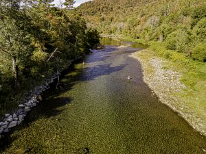 Riparian Habitat