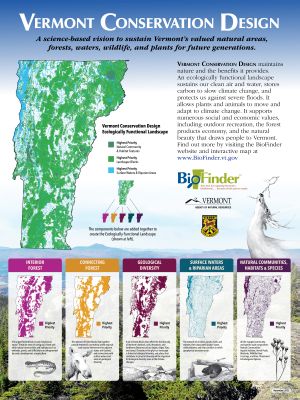 VT Conservation Design
