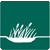 graphic of marsh grasses in water