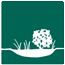 graphic of shrub and grasses in water