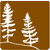 graphic of spruce trees