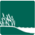 graphic of wetland grasses next to water