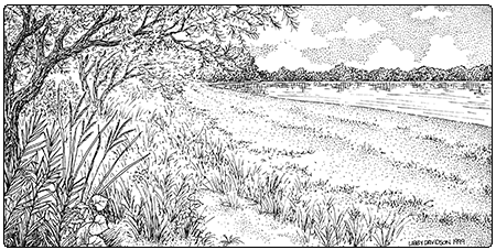 illustration of lake sand beach