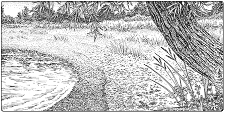 Illustration of lake shale or cobble beach