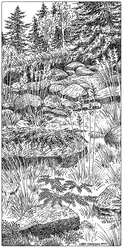 illustration of serpentine outcrop