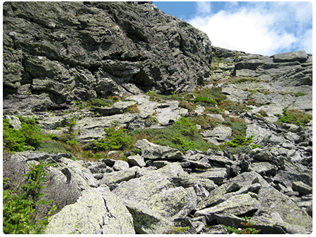 boreal outcrop