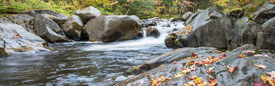 aquatic habitat