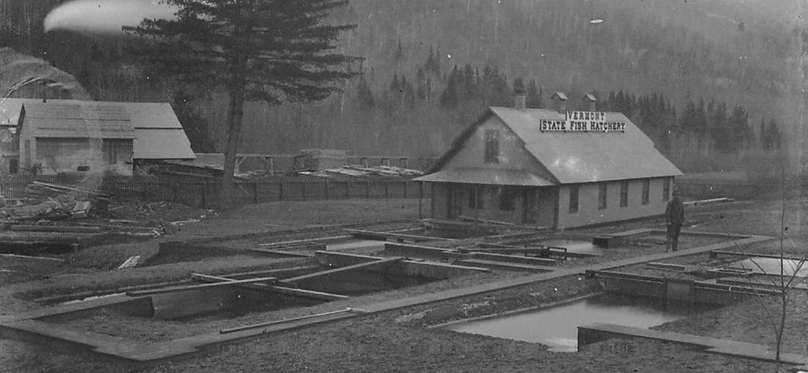 Roxbury Fish Culture Station