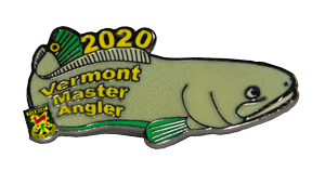 2020 Pin