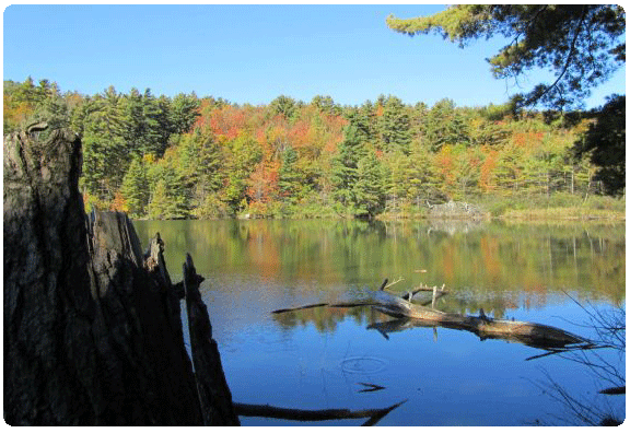 Colchester Pond