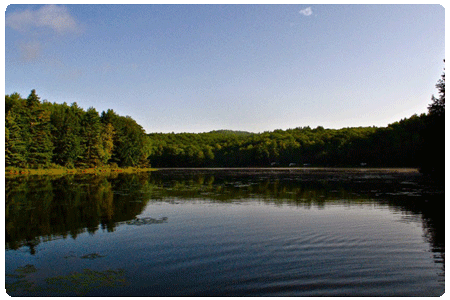 Halfmoon pond