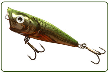 Popper Bait