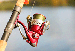 Spinning Reel