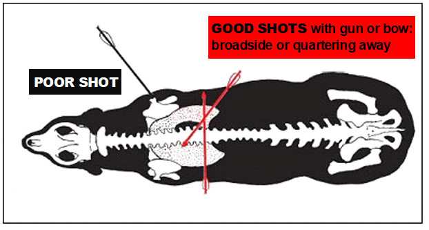 good shot versus poor shot