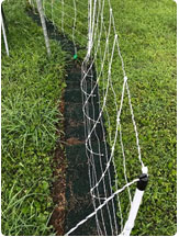 fence with rug underneath