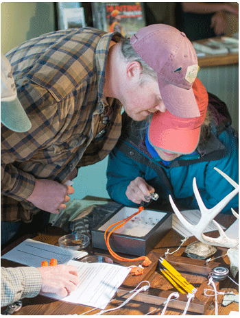 wildlife biologist activities