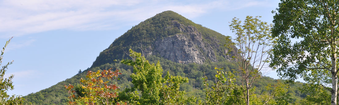 Bird Mountain