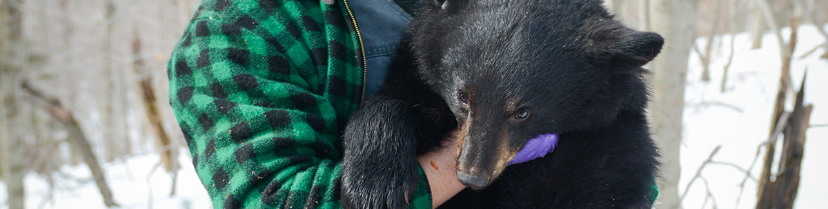 Man holding bearcub