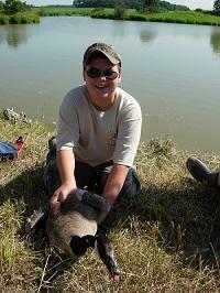 Goose Banding