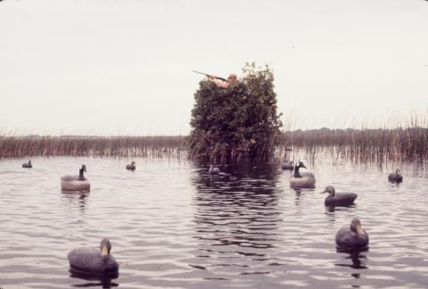 Gander Bay