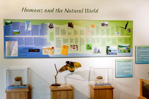 Exhibit at Dead Creek Visitor Center