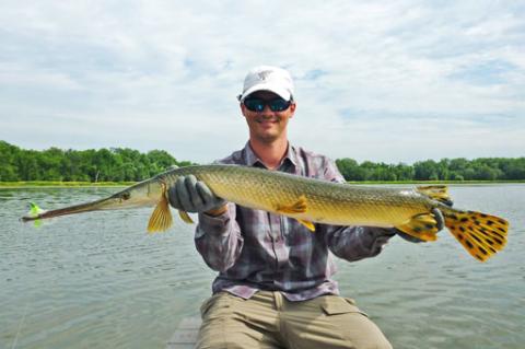 angler holding a large gar