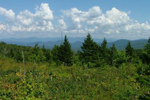 Vermont landscape
