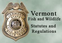 warden badge