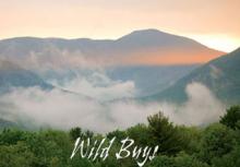Vermont mountain landscape