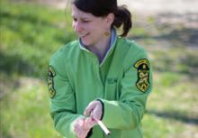 Fish and Wildlife Staff at work
