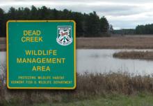 Dead Creek WMA