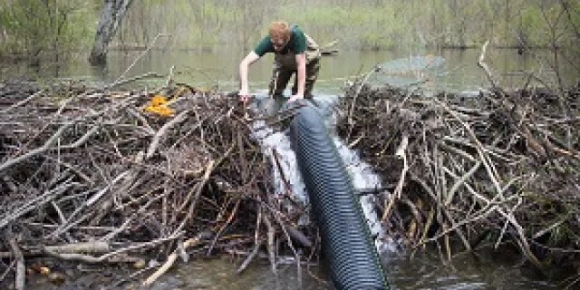Beaver baffle installation