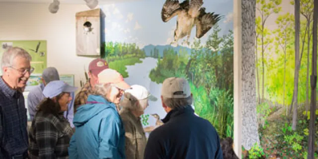 visitor viewing exhibits at Dead Creek Visitor Center