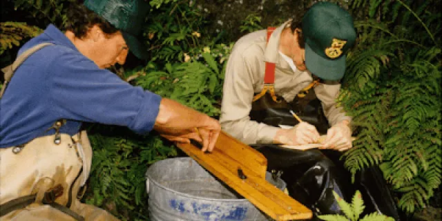 Rich Kirn measuring a fish